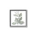 Picture of Leafy Look II _GroupedProduct_Square_Canvas_Framed_