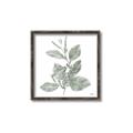 Picture of Leafy Look II _GroupedProduct_Square_Canvas_Framed_