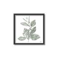 Picture of Leafy Look II _GroupedProduct_Square_Canvas_Framed_