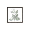 Picture of Leafy Look II _GroupedProduct_Square_Canvas_Framed_