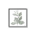 Picture of Leafy Look II _GroupedProduct_Square_Canvas_Framed_