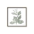 Picture of Leafy Look II _GroupedProduct_Square_Canvas_Framed_