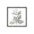 Picture of Leafy Look II _GroupedProduct_Square_Canvas_Framed_