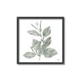 Picture of Leafy Look II _GroupedProduct_Square_Canvas_Framed_