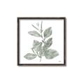 Picture of Leafy Look II _GroupedProduct_Square_Canvas_Framed_