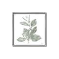 Picture of Leafy Look II _GroupedProduct_Square_Canvas_Framed_