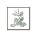 Picture of Leafy Look II _GroupedProduct_Square_Canvas_Framed_