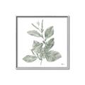 Picture of Leafy Look II _GroupedProduct_Square_Canvas_Framed_