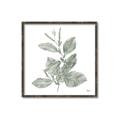 Picture of Leafy Look II _GroupedProduct_Square_Canvas_Framed_