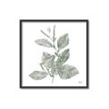 Picture of Leafy Look II _GroupedProduct_Square_Canvas_Framed_