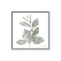 Picture of Leafy Look II _GroupedProduct_Square_Canvas_Framed_