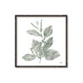 Picture of Leafy Look II _GroupedProduct_Square_Canvas_Framed_