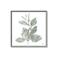 Picture of Leafy Look II _GroupedProduct_Square_Canvas_Framed_