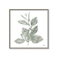 Picture of Leafy Look II _GroupedProduct_Square_Canvas_Framed_