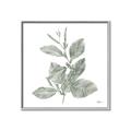 Picture of Leafy Look II _GroupedProduct_Square_Canvas_Framed_