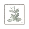 Picture of Leafy Look II _GroupedProduct_Square_Canvas_Framed_