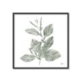 Picture of Leafy Look II _GroupedProduct_Square_Canvas_Framed_