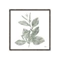 Picture of Leafy Look II _GroupedProduct_Square_Canvas_Framed_