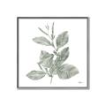 Picture of Leafy Look II _GroupedProduct_Square_Canvas_Framed_