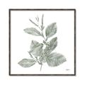 Picture of Leafy Look II _GroupedProduct_Square_Canvas_Framed_