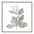 Picture of Leafy Look II _GroupedProduct_Square_Canvas_Framed_
