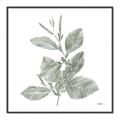 Picture of Leafy Look II _GroupedProduct_Square_Canvas_Framed_