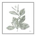 Picture of Leafy Look II _GroupedProduct_Square_Canvas_Framed_