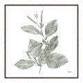 Picture of Leafy Look II _GroupedProduct_Square_Canvas_Framed_