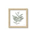 Picture of Leafy Look I _GroupedProduct_Square_Framed_Matted_