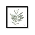 Picture of Leafy Look I _GroupedProduct_Square_Framed_Matted_