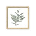 Picture of Leafy Look I _GroupedProduct_Square_Framed_Matted_
