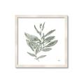 Picture of Leafy Look I _GroupedProduct_Square_Framed_Matted_