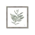 Picture of Leafy Look I _GroupedProduct_Square_Framed_Matted_