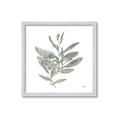 Picture of Leafy Look I _GroupedProduct_Square_Framed_Matted_