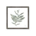 Picture of Leafy Look I _GroupedProduct_Square_Framed_Matted_