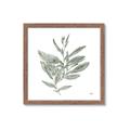 Picture of Leafy Look I _GroupedProduct_Square_Framed_Matted_