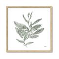 Picture of Leafy Look I _GroupedProduct_Square_Framed_Matted_