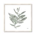 Picture of Leafy Look I _GroupedProduct_Square_Framed_Matted_