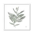 Picture of Leafy Look I _GroupedProduct_Square_Framed_Matted_