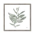 Picture of Leafy Look I _GroupedProduct_Square_Framed_Matted_