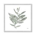 Picture of Leafy Look I _GroupedProduct_Square_Framed_Matted_