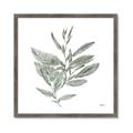 Picture of Leafy Look I _GroupedProduct_Square_Framed_Matted_