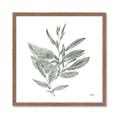 Picture of Leafy Look I _GroupedProduct_Square_Framed_Matted_