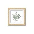Picture of Leafy Look I _GroupedProduct_Square_Framed_Matted_