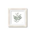 Picture of Leafy Look I _GroupedProduct_Square_Framed_Matted_