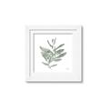 Picture of Leafy Look I _GroupedProduct_Square_Framed_Matted_