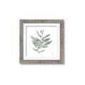 Picture of Leafy Look I _GroupedProduct_Square_Framed_Matted_