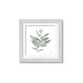 Picture of Leafy Look I _GroupedProduct_Square_Framed_Matted_