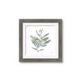 Picture of Leafy Look I _GroupedProduct_Square_Framed_Matted_