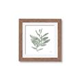 Picture of Leafy Look I _GroupedProduct_Square_Framed_Matted_